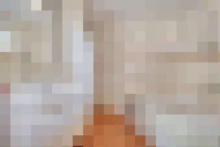 Zenderseweg 67 Albergen thumbnail 16