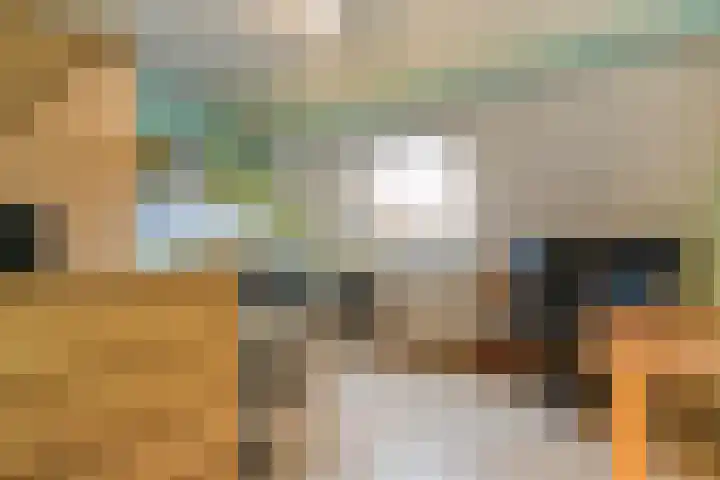 Zenderseweg 67 Albergen thumbnail 20