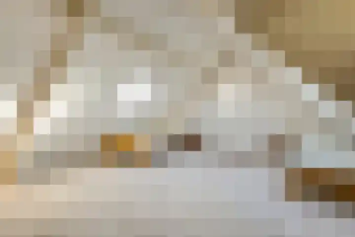 Zenderseweg 67 Albergen thumbnail 26
