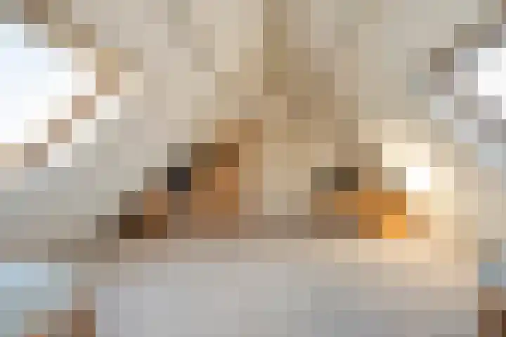 Zenderseweg 67 Albergen thumbnail 27