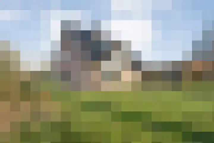 Zenderseweg 67 Albergen thumbnail 28
