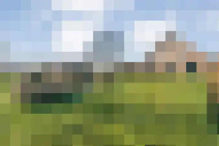 Zenderseweg 67 Albergen thumbnail 29