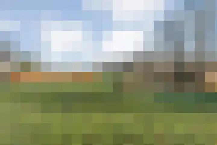 Zenderseweg 67 Albergen thumbnail 30
