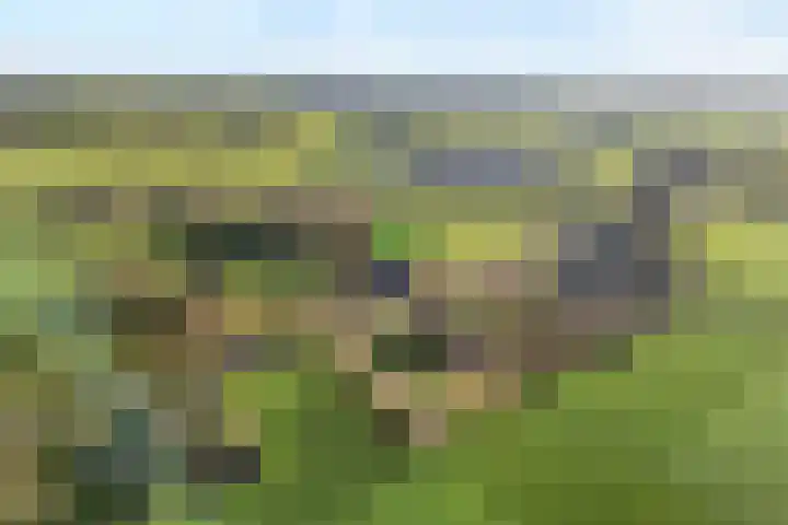 Zenderseweg 67 Albergen thumbnail 32