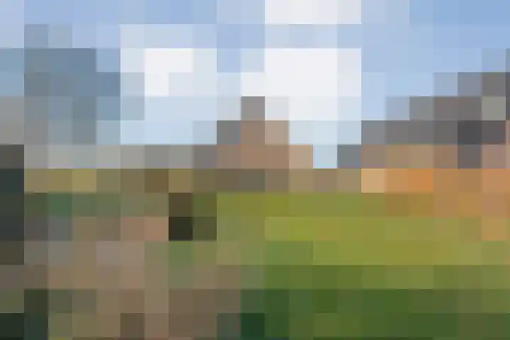 Zenderseweg 67 Albergen thumbnail 34
