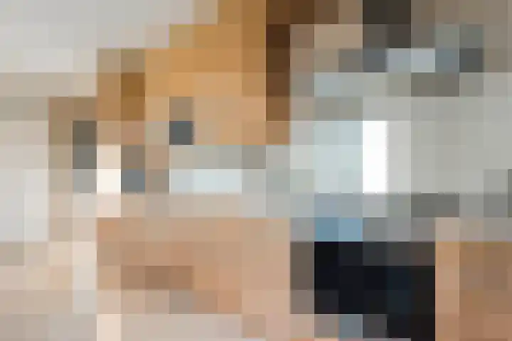 Zenderseweg 67 Albergen thumbnail 39