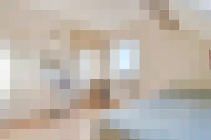 Zenderseweg 67 Albergen thumbnail 43