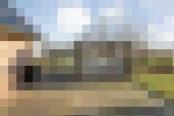 Zenderseweg 67 Albergen thumbnail 48