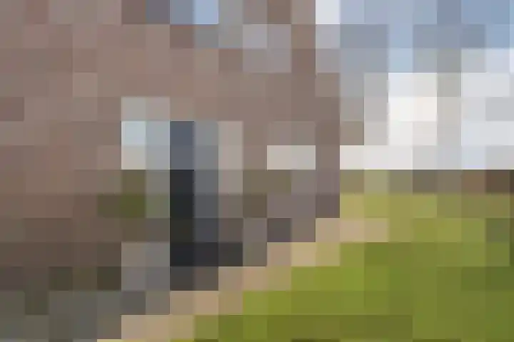 Zenderseweg 67 Albergen thumbnail 5