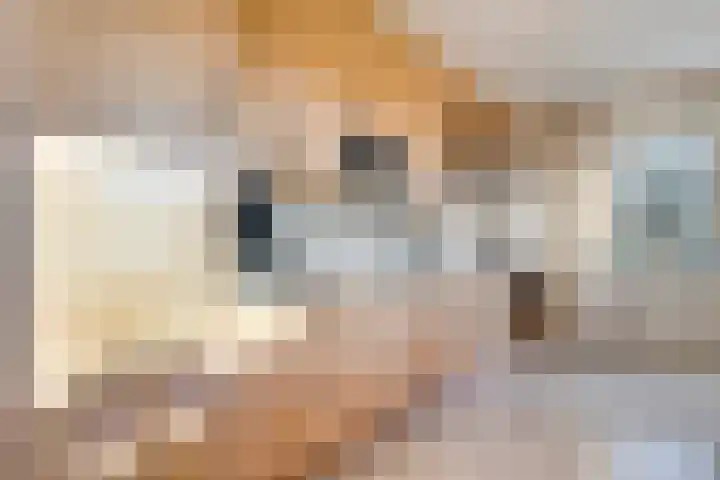 Zenderseweg 67 Albergen thumbnail 8