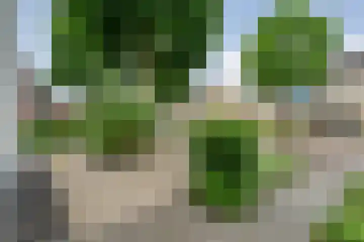 Zenegroen 1 Hardenberg thumbnail 10