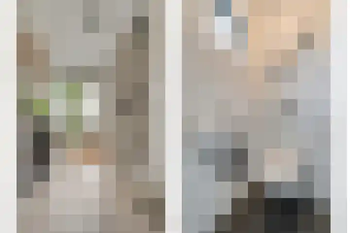 Zenegroen 1 Hardenberg thumbnail 12