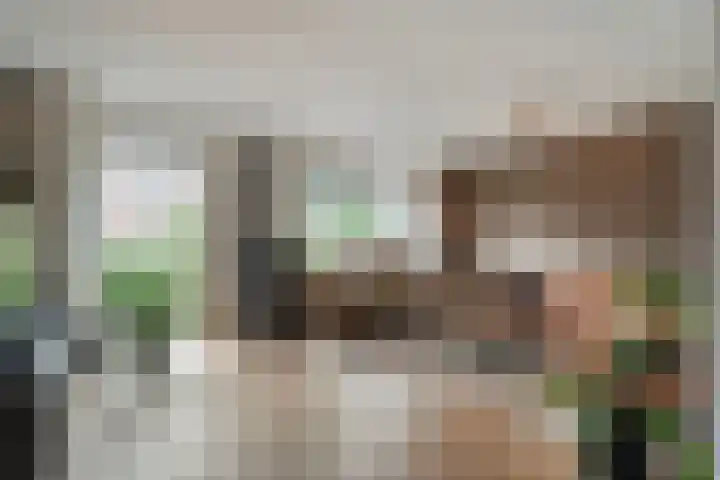 Zenegroen 1 Hardenberg thumbnail 14