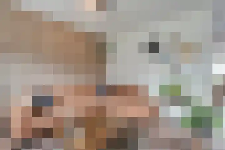 Zenegroen 1 Hardenberg thumbnail 16