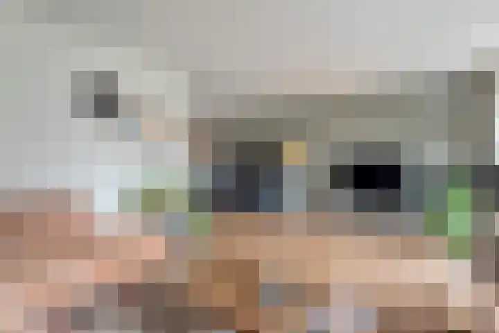 Zenegroen 1 Hardenberg thumbnail 17