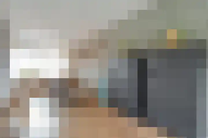 Zenegroen 1 Hardenberg thumbnail 23