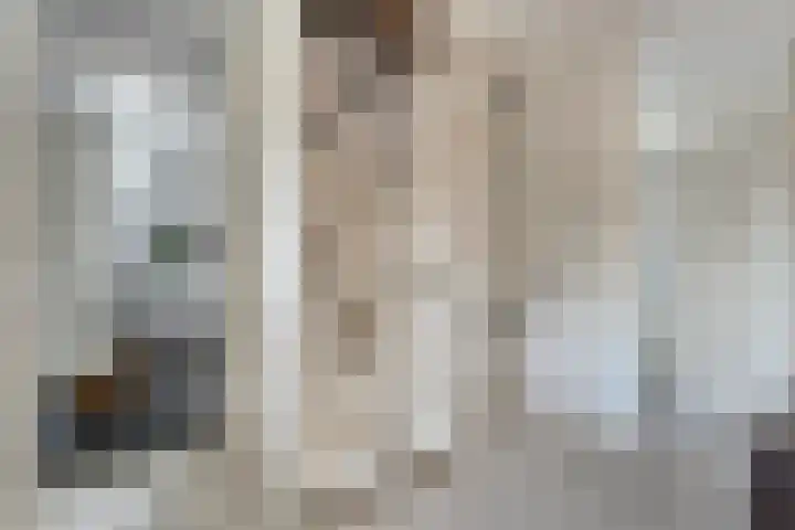 Zenegroen 1 Hardenberg thumbnail 30