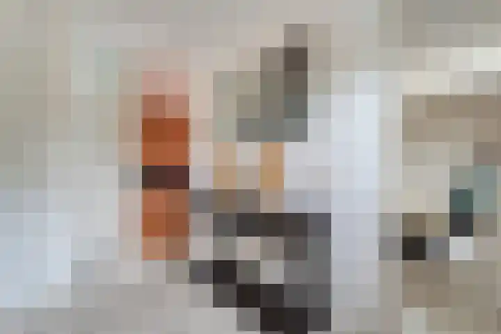 Zenegroen 1 Hardenberg thumbnail 32