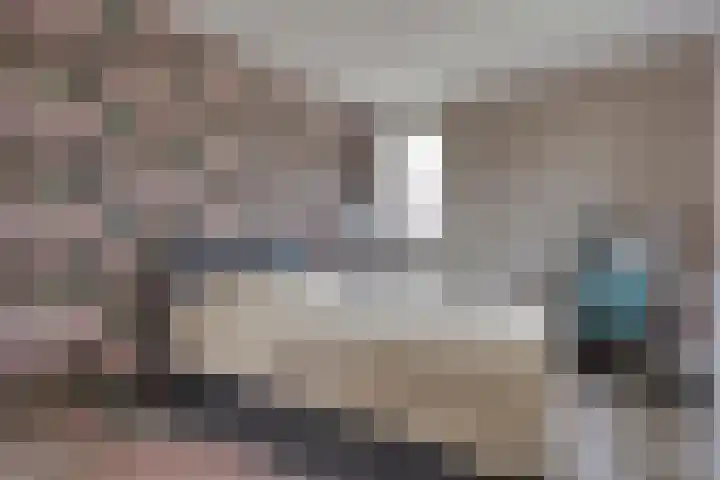 Zenegroen 1 Hardenberg thumbnail 33