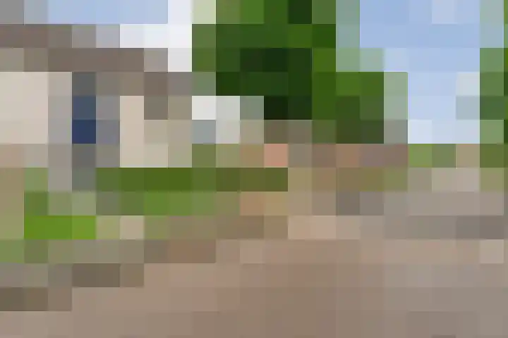 Zenegroen 1 Hardenberg thumbnail 4
