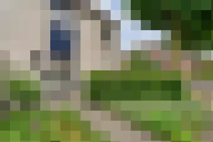 Zenegroen 1 Hardenberg thumbnail 5