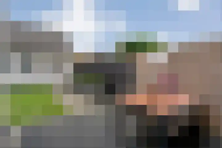 Zenegroen 1 Hardenberg thumbnail 53