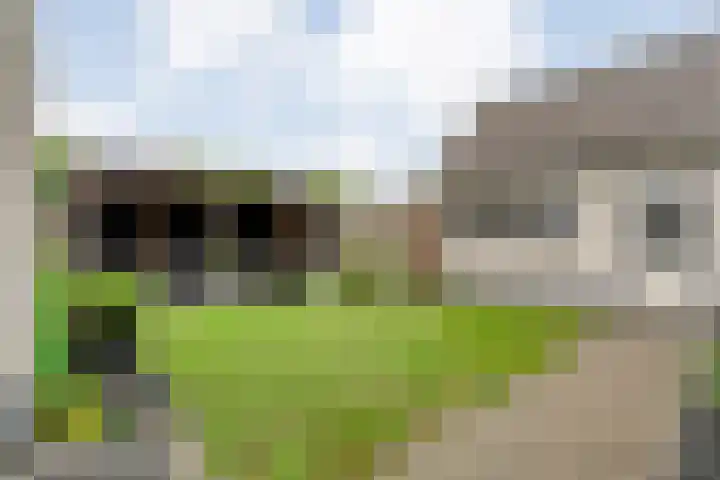 Zenegroen 1 Hardenberg thumbnail 55