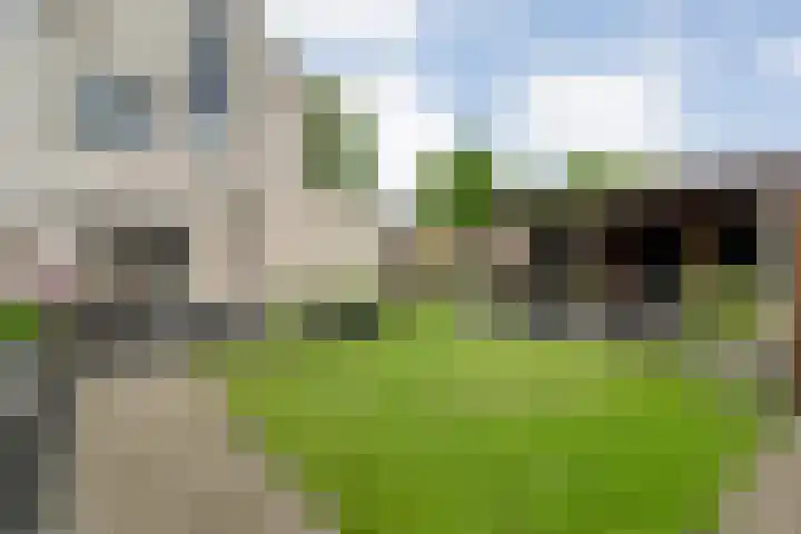 Zenegroen 1 Hardenberg thumbnail 56