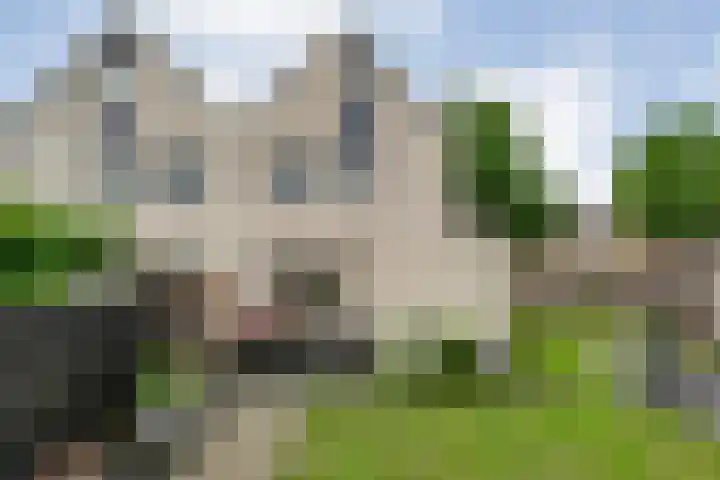 Zenegroen 1 Hardenberg thumbnail 57