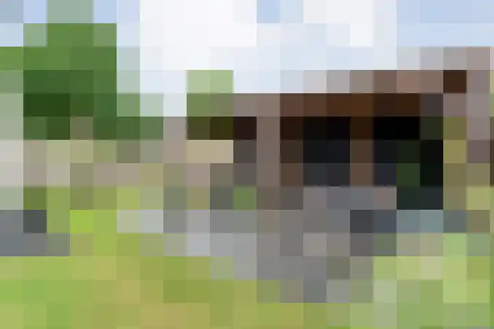 Zenegroen 1 Hardenberg thumbnail 58