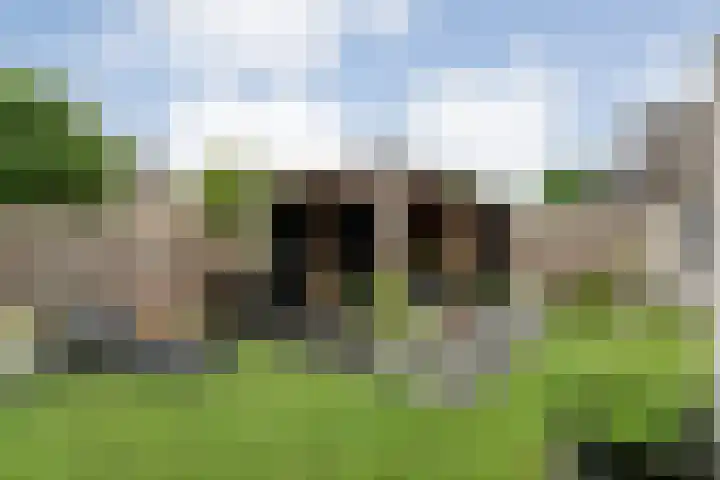 Zenegroen 1 Hardenberg thumbnail 59