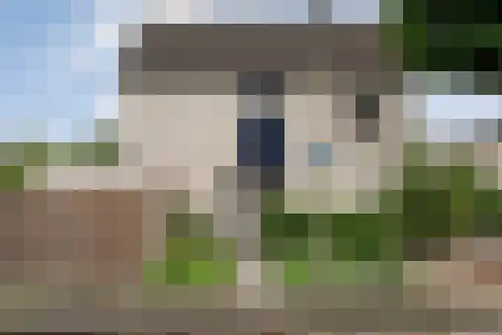 Zenegroen 1 Hardenberg thumbnail 6