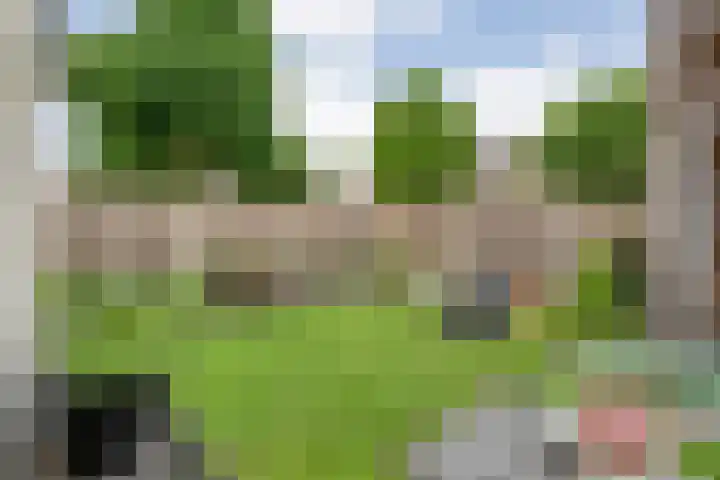 Zenegroen 1 Hardenberg thumbnail 60