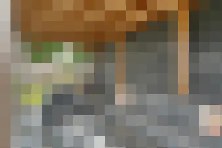 Zenegroen 1 Hardenberg thumbnail 61