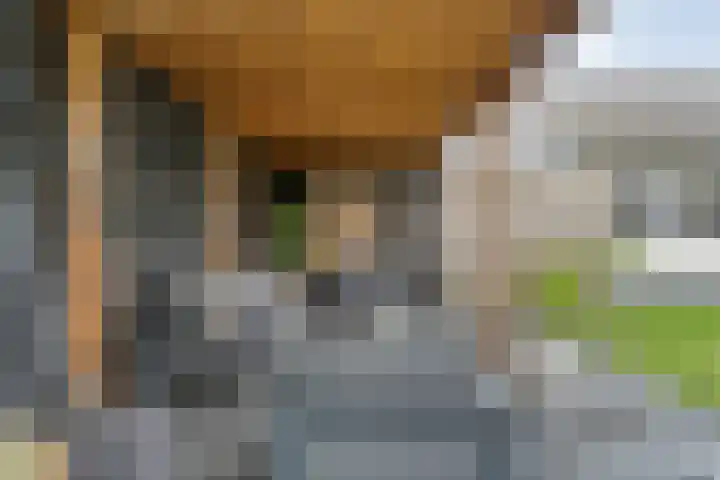 Zenegroen 1 Hardenberg thumbnail 62