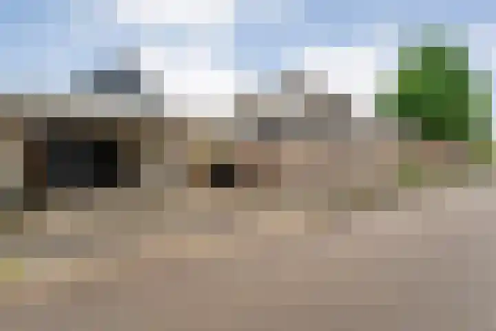 Zenegroen 1 Hardenberg thumbnail 7