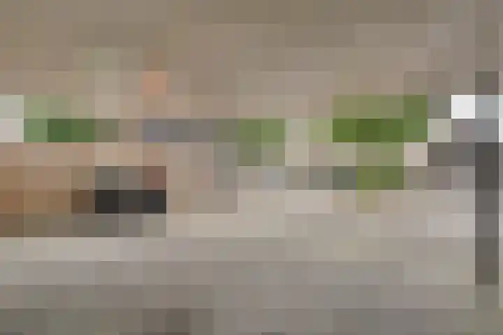 Zenegroen 1 Hardenberg thumbnail 8