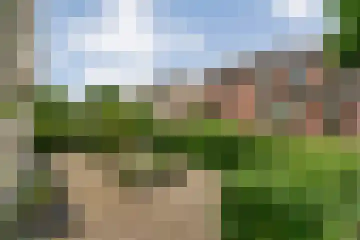 Zenegroen 1 Hardenberg thumbnail 9