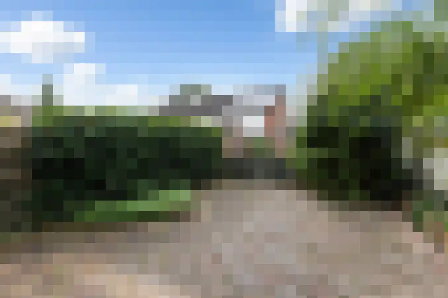 Zenegroen 145 Leeuwarden thumbnail 37