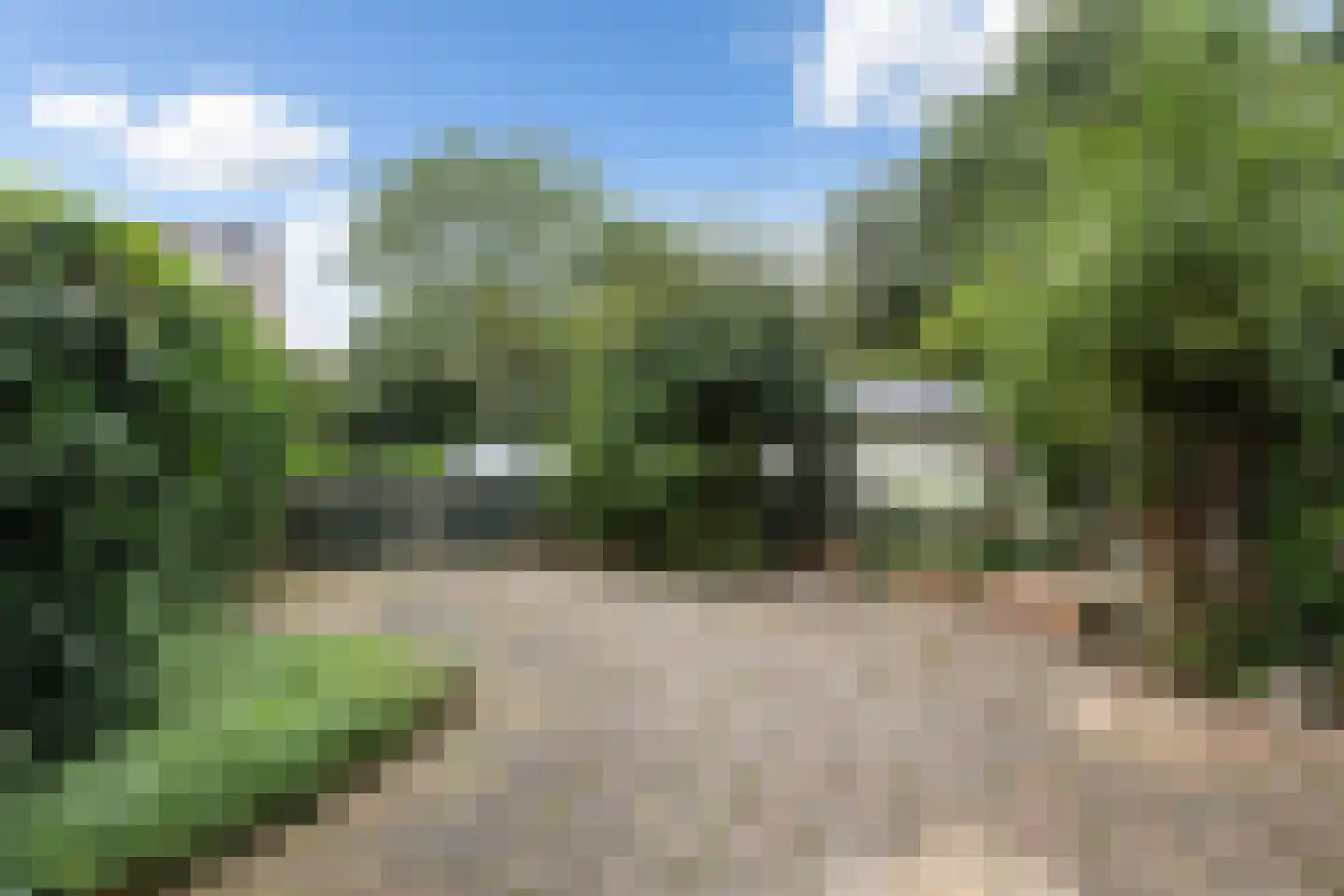 Zenegroen 145 Leeuwarden thumbnail 38