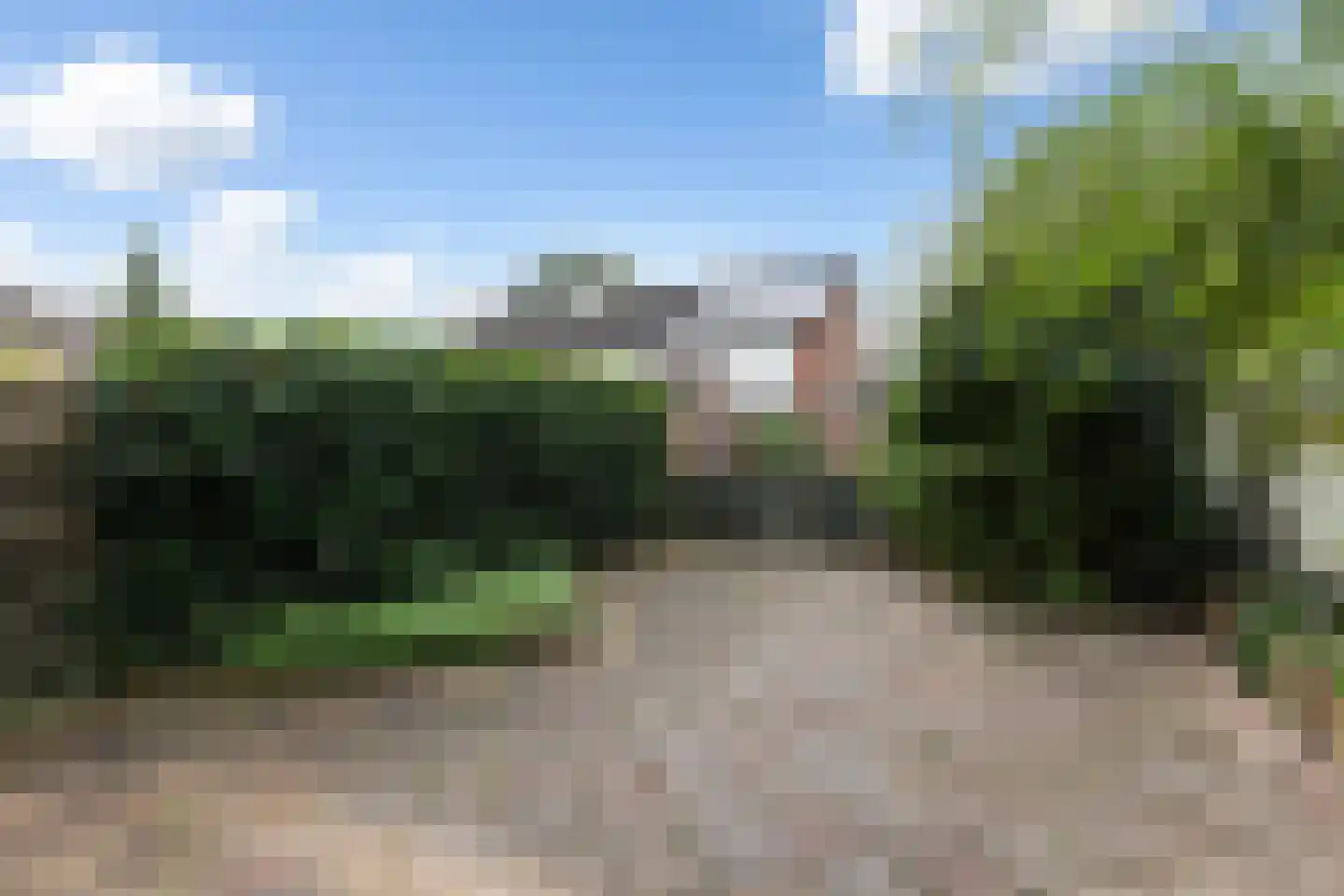 Zenegroen 145 Leeuwarden thumbnail 6