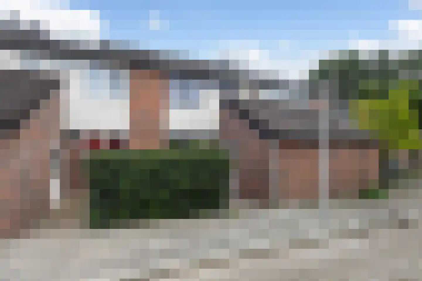 Zenegroen 145 Leeuwarden thumbnail 9