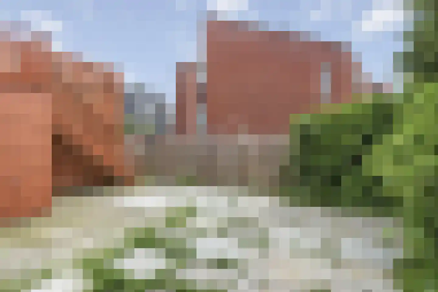 Zenegroen 16 Arnhem thumbnail 22