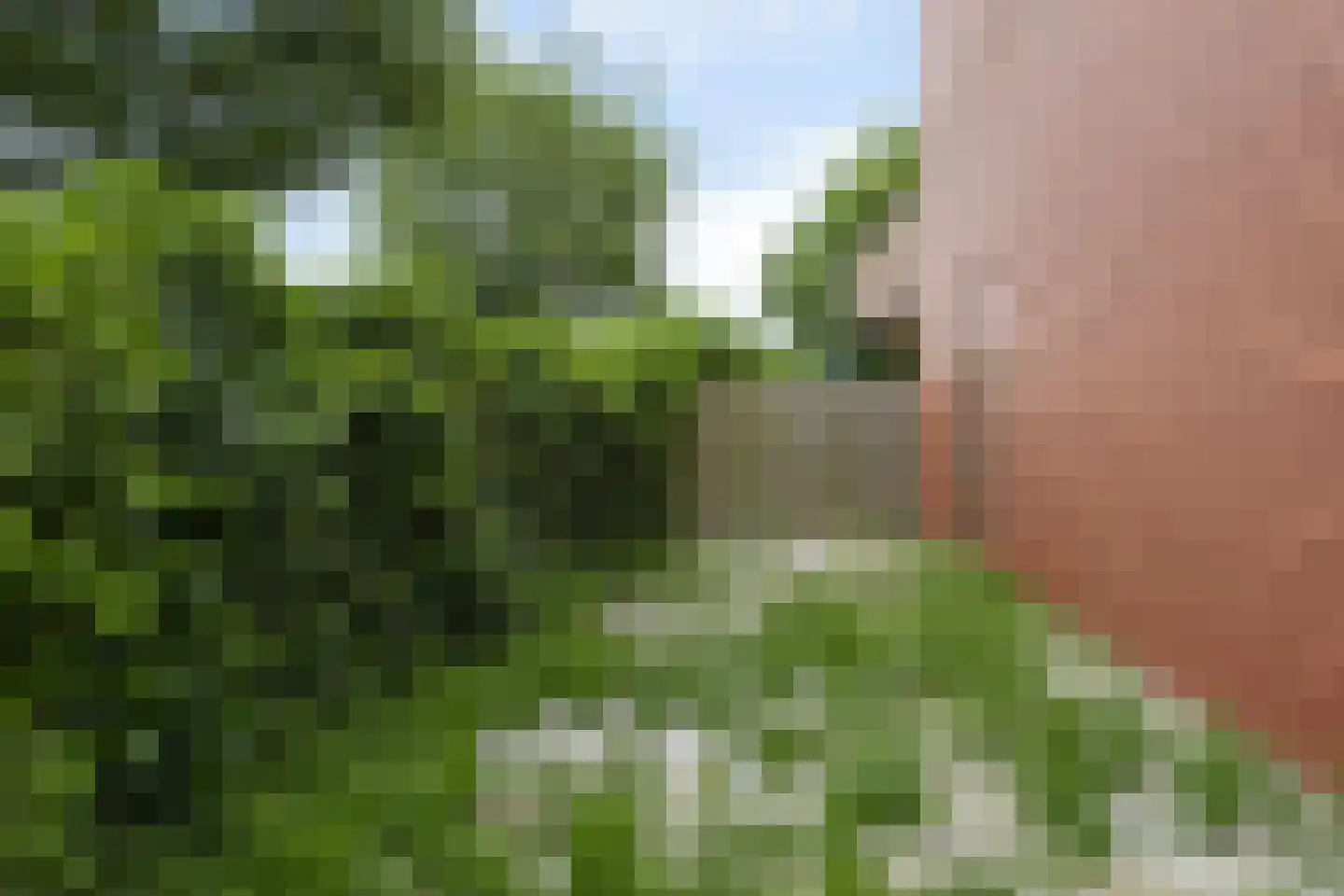 Zenegroen 16 Arnhem thumbnail 23