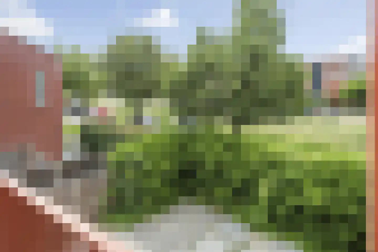 Zenegroen 16 Arnhem thumbnail 29
