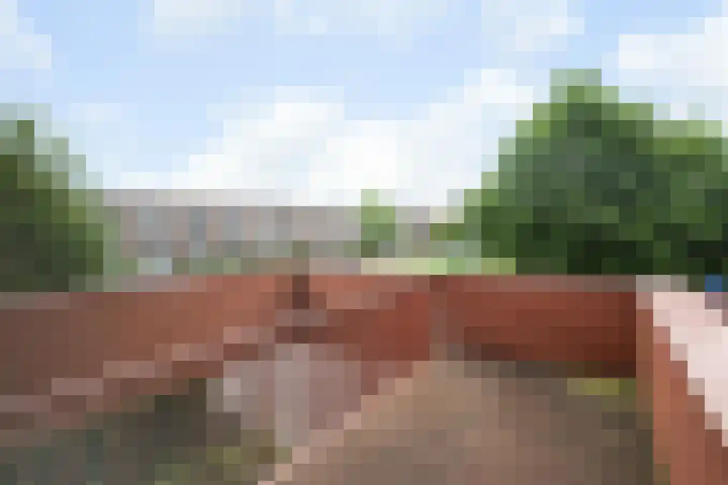 Zenegroen 16 Arnhem thumbnail 36