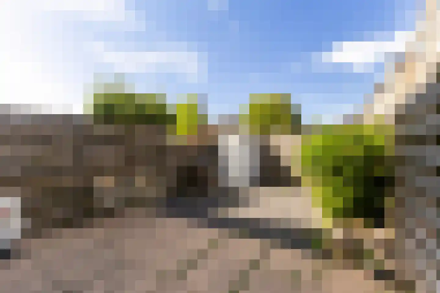 Zenegroen 169 Leeuwarden thumbnail 32