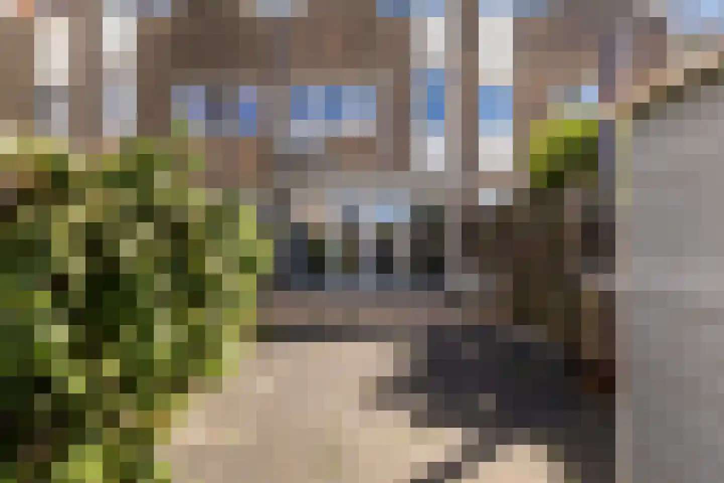 Zenegroen 169 Leeuwarden thumbnail 34
