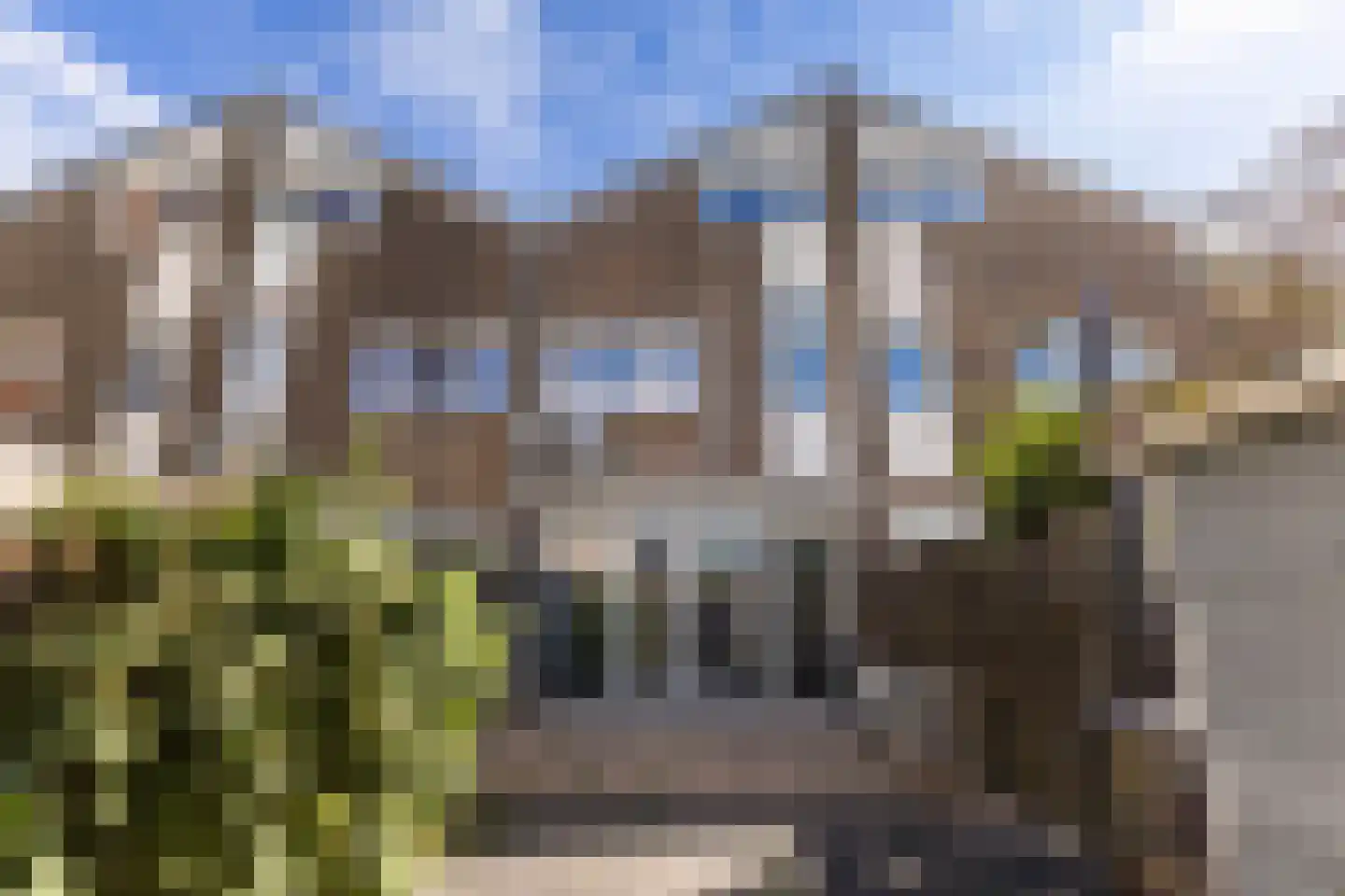 Zenegroen 169 Leeuwarden thumbnail 36