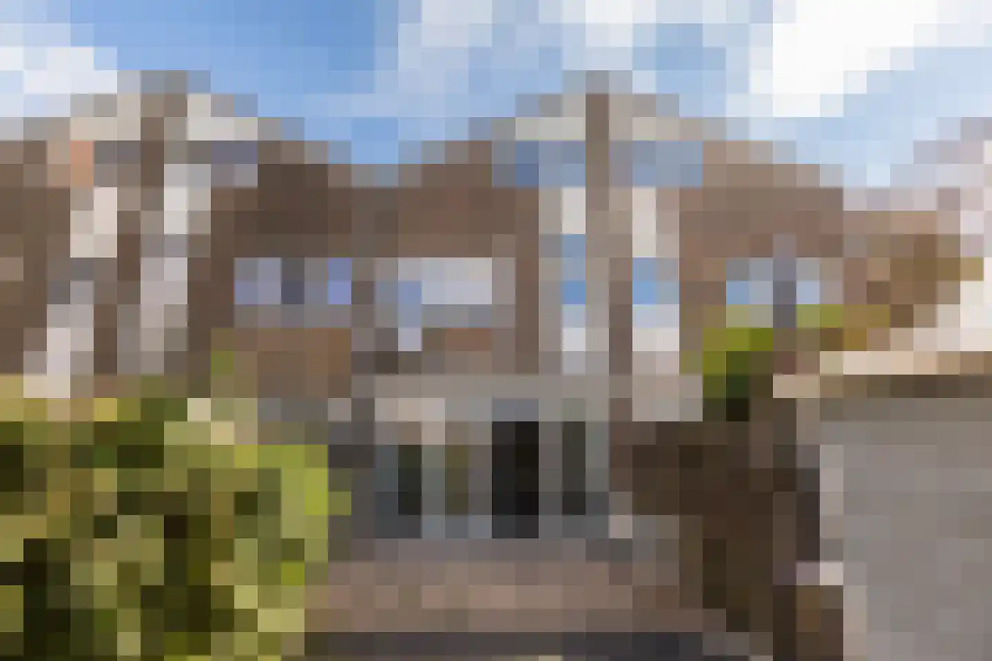 Zenegroen 169 Leeuwarden thumbnail 37